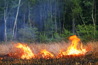 fire2
