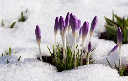 keine Unterlassung wegen fehlendem Impressum RA Winter