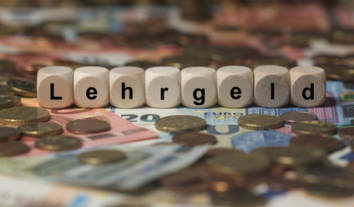 Illegaler Bilderklau: Schadensersatz in Millionenhöhe nach Verletzung des Urheberrechts